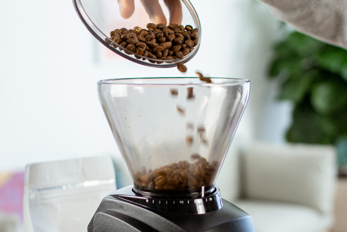 How to Brew Chemex Coffee — Zestful Kitchen