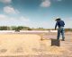 Farmer turning coffee during processing