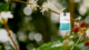 May Coffee of the Month: Burundi Turihamwe