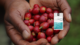 July Coffee of the Month: Guatemala El Progreso